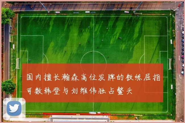 国内擅长瀚森高位发牌的教练屈指可数韩登与刘维伟独占鳌头